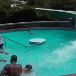 Dolphin1